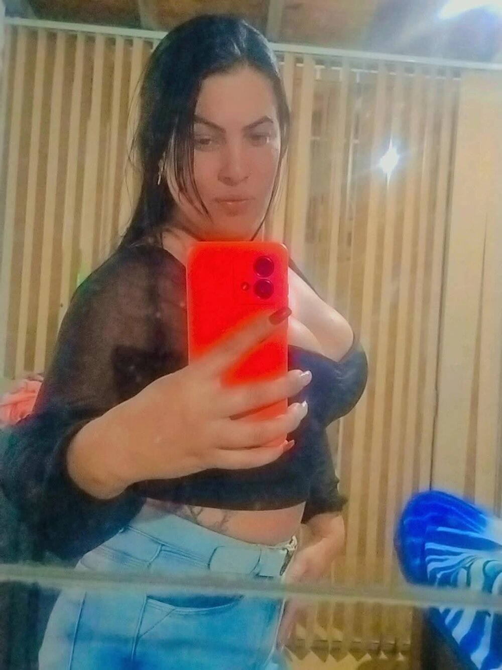 Anagatucha