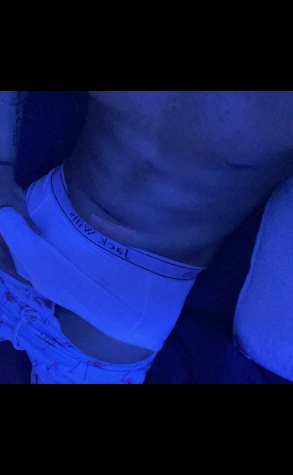 arabian_pharaon