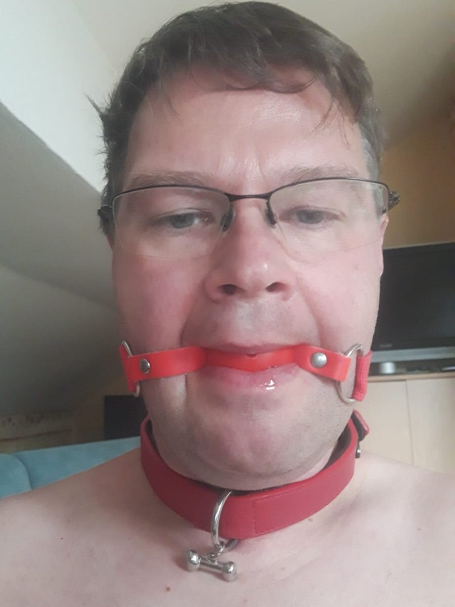 slavedh