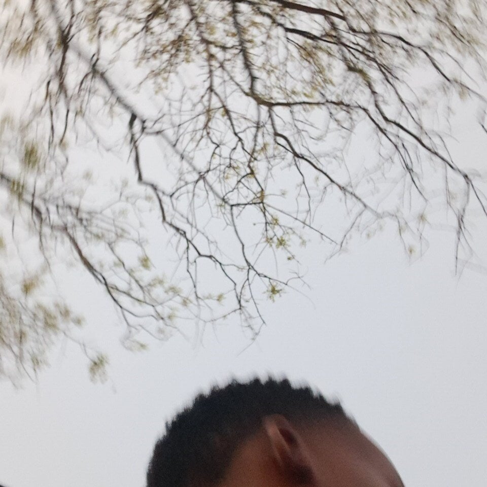 thiefre